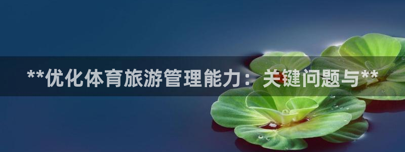 必一体育app官方下