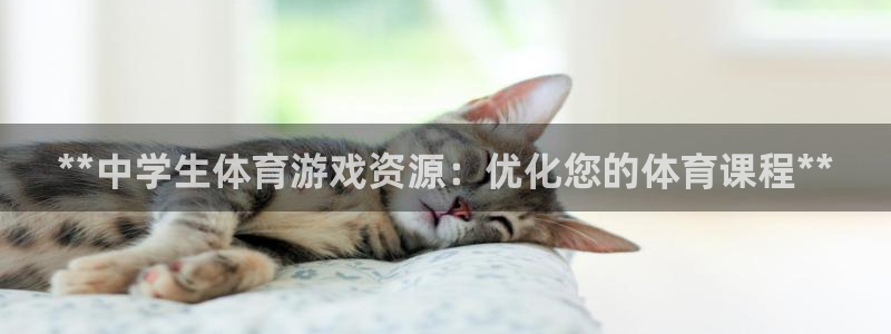 必一体育流水线是什么