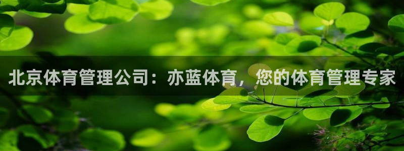 必一体育官网app：