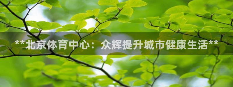 必一体育官网入口：*