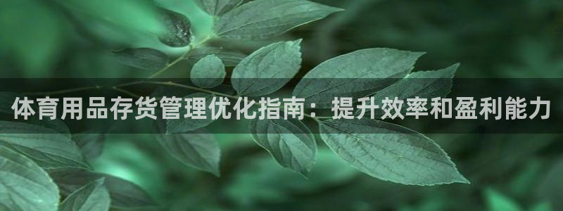 必一体育游戏特色：体