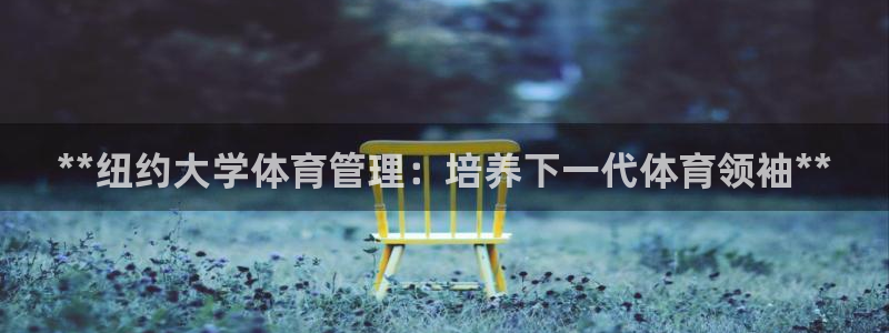 必一体育在线登陆：*