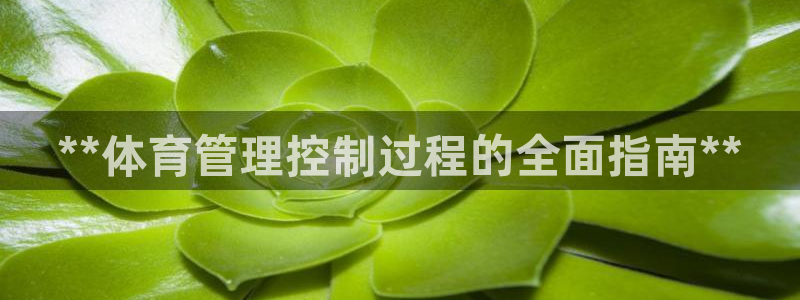 必一体育官网网址：*