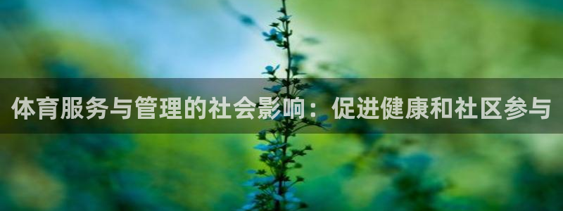 必一体育官方app下