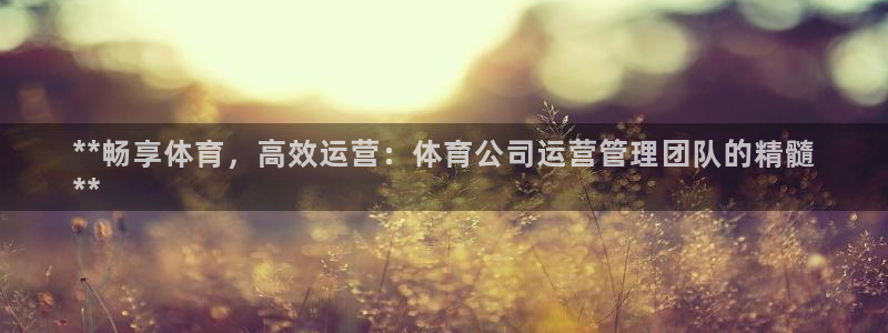 必一体育官网app：
