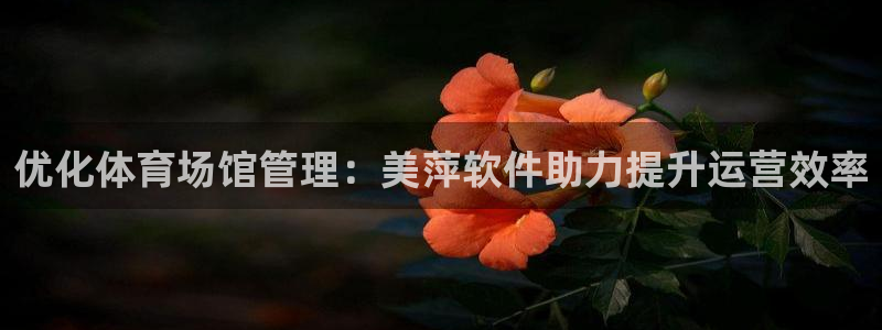 必一体育app官方下
