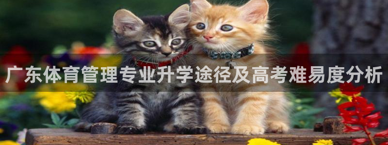 必一体育网页版登录：