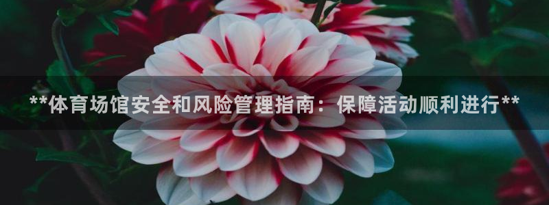 必一体育在线登录：*