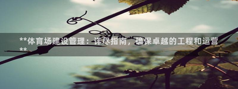 必一运动短信：**体