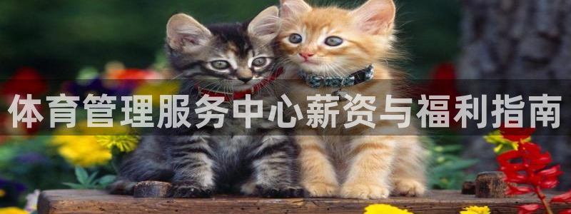 氵必一一厂一：体育管