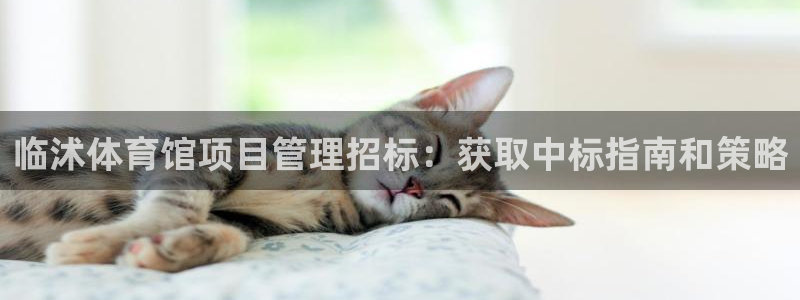 必一体育app下载最