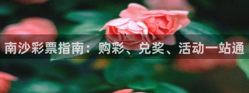 必一体育官网入口：南