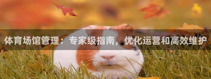 必一体育下载义：体育