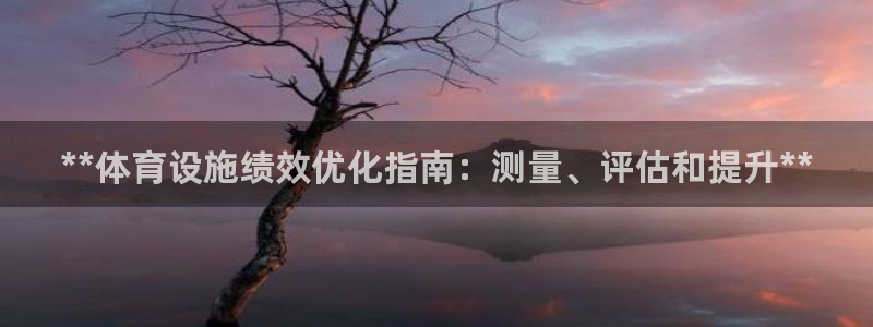 必一体育验证码：**