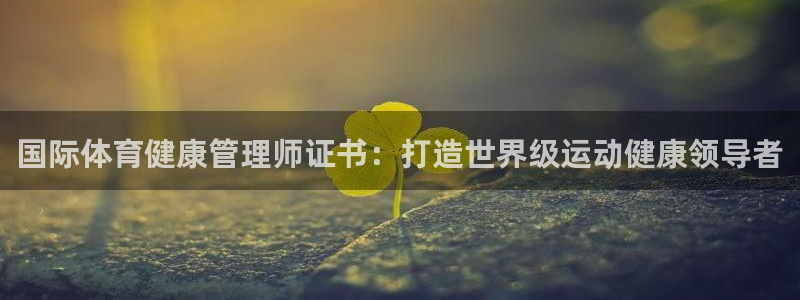 必一体育秀给网：国际