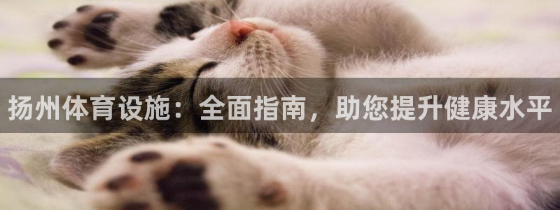必一体育下载app：