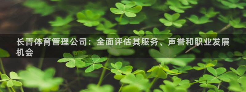 必一体育黑平台：长青