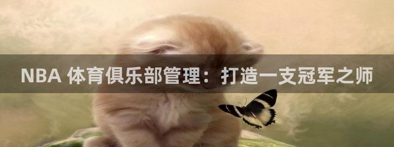 必一体育网站：NBA