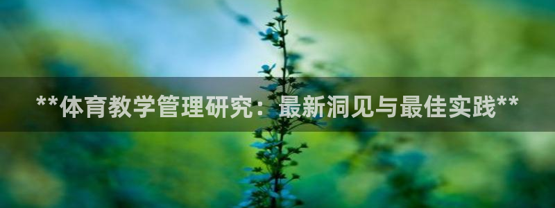 必一体育官网ios下