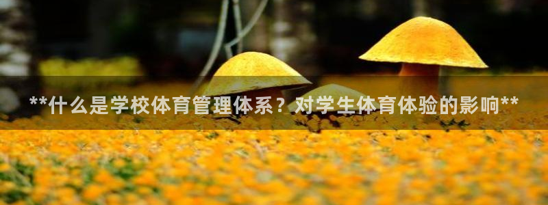 必一体育周公：**什