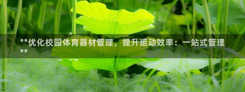 Bsport体育必一