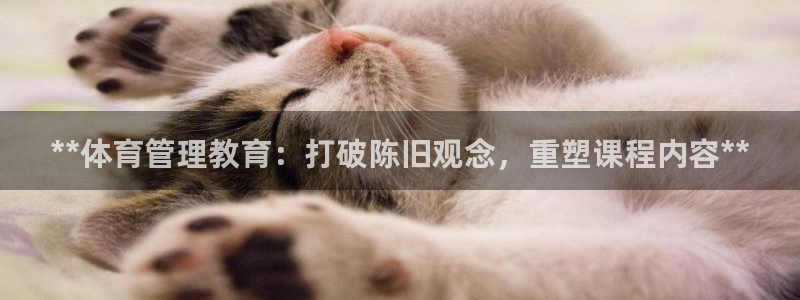 必一体育APP下载安