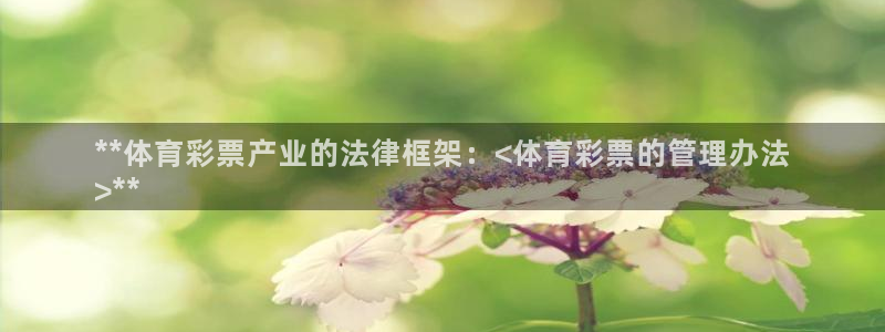 必十二和必一的副作用：**体育彩票产业的法律框架：<体育彩票