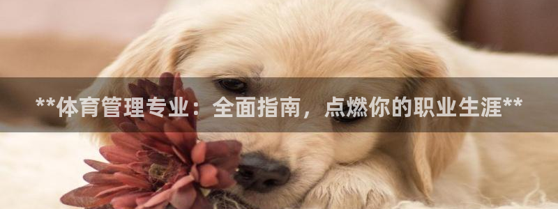 必一体育全站在线登录