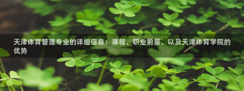 必一体育sport官