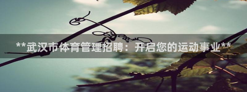 必一体育全站在线登录