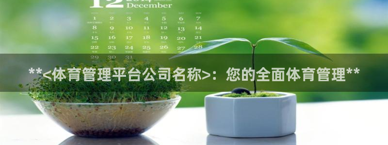 必一体育在线官网：*