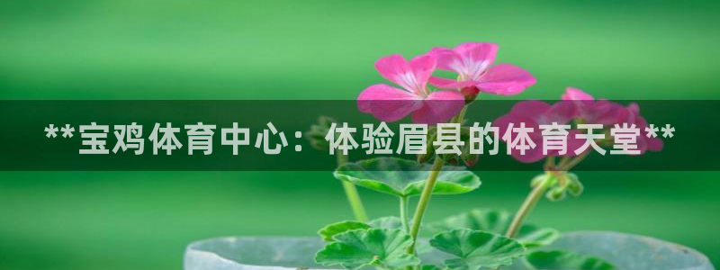 必一运动官网登录入口：**宝鸡体育中心：体验眉县的体育天堂*