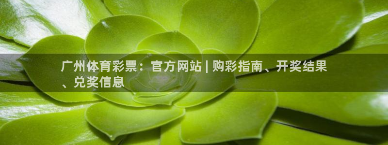 必一体育全站在线登录