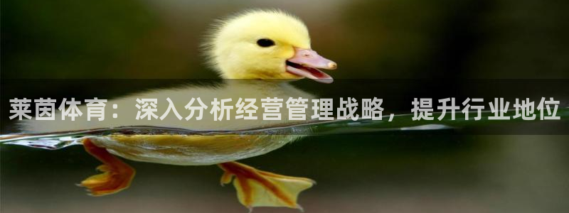 必一体育官网网站：莱茵体育：深入分析经营管理战略，提升行业地