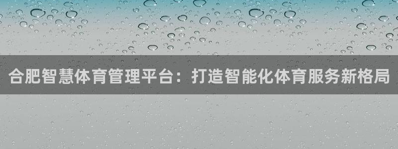 必一体育官方网站入口