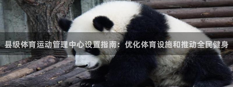 必一体育运动下载：县