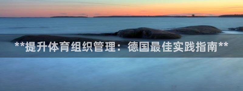 必一体育app平台下载：**提升体育组织管理：德国最佳实践指