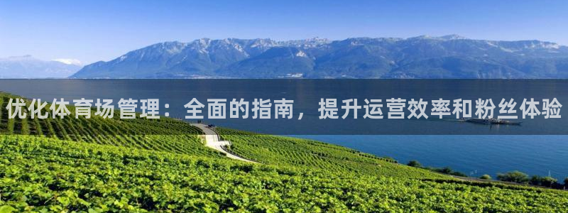 必一体育APP下载安装：优化体育场管理：全面的指南，提升运营