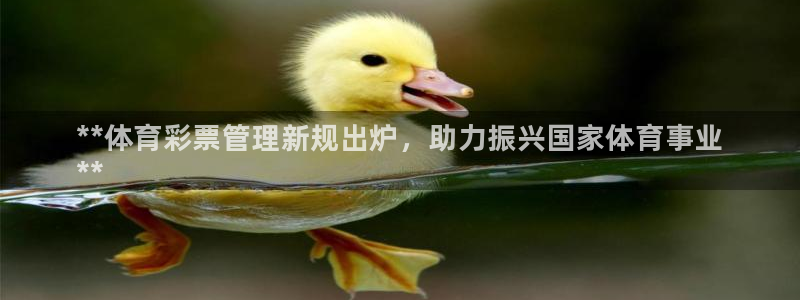 必一体育在线玩：**