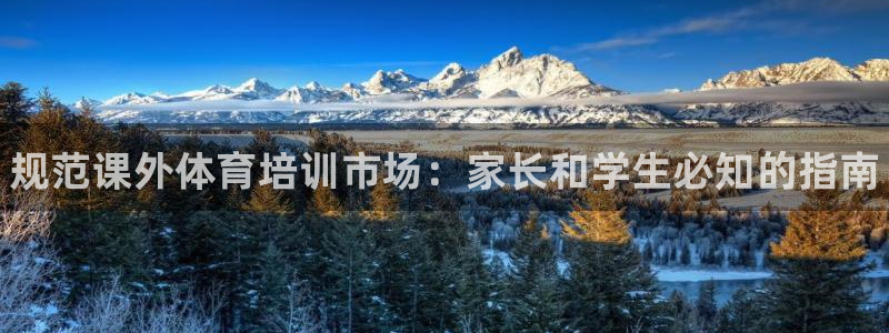 必一体育最新官网入口