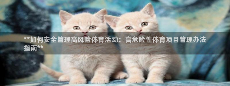 必一体育sport官