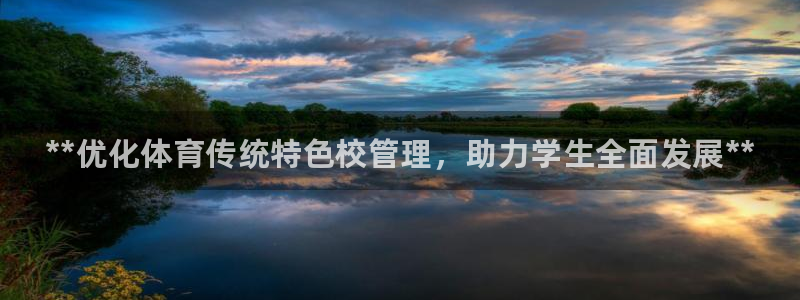 必一运动体：**优化