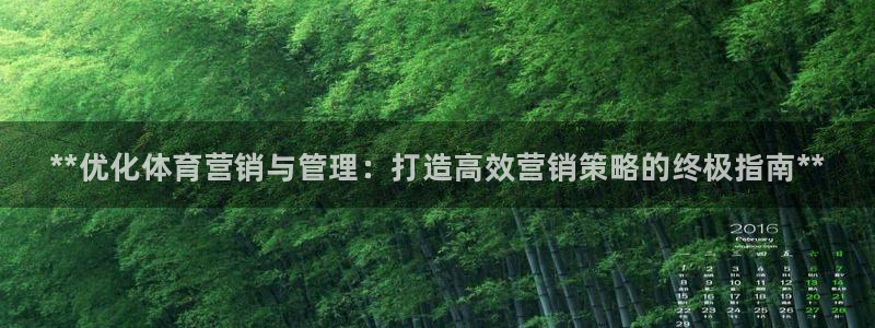 必一体育是啥：**优化体育营销与管理：打造高效营销策略的终极