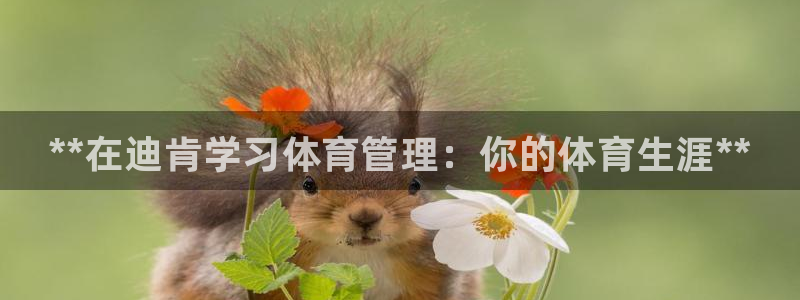 必一体育下载登入：*