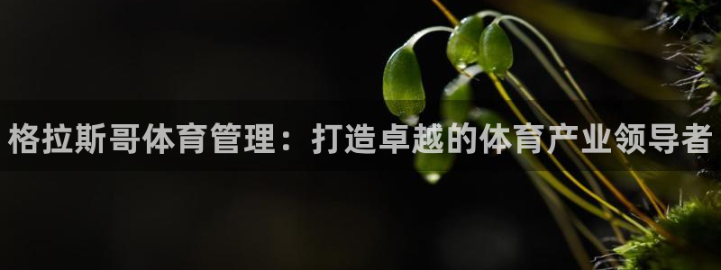 必一体育网页登录版官