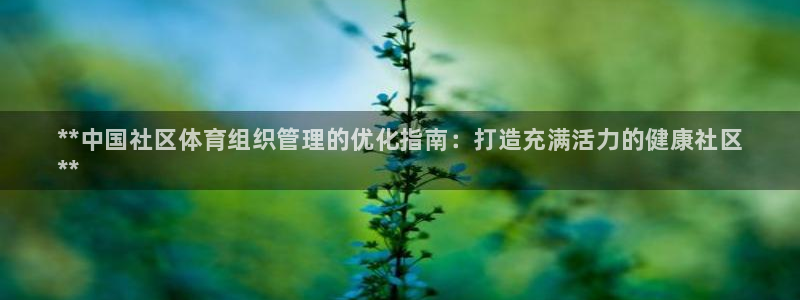 必一体育sport装