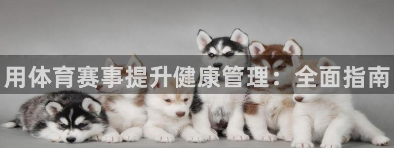 必一体育app官方正