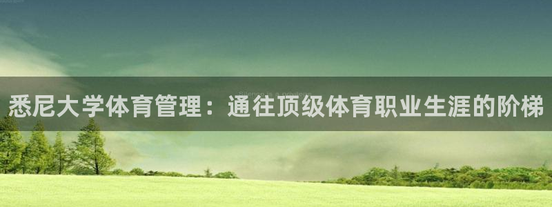 必一体育运动app：悉尼大学体育管理：通往顶级体育职业生涯的
