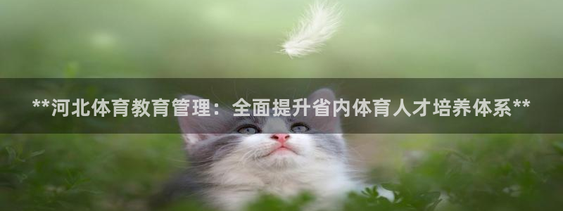 必一运动·体育：**