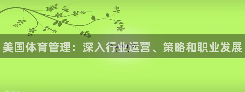 必一体育官方app下载：美国体育管理：深入行业运营、策略和职